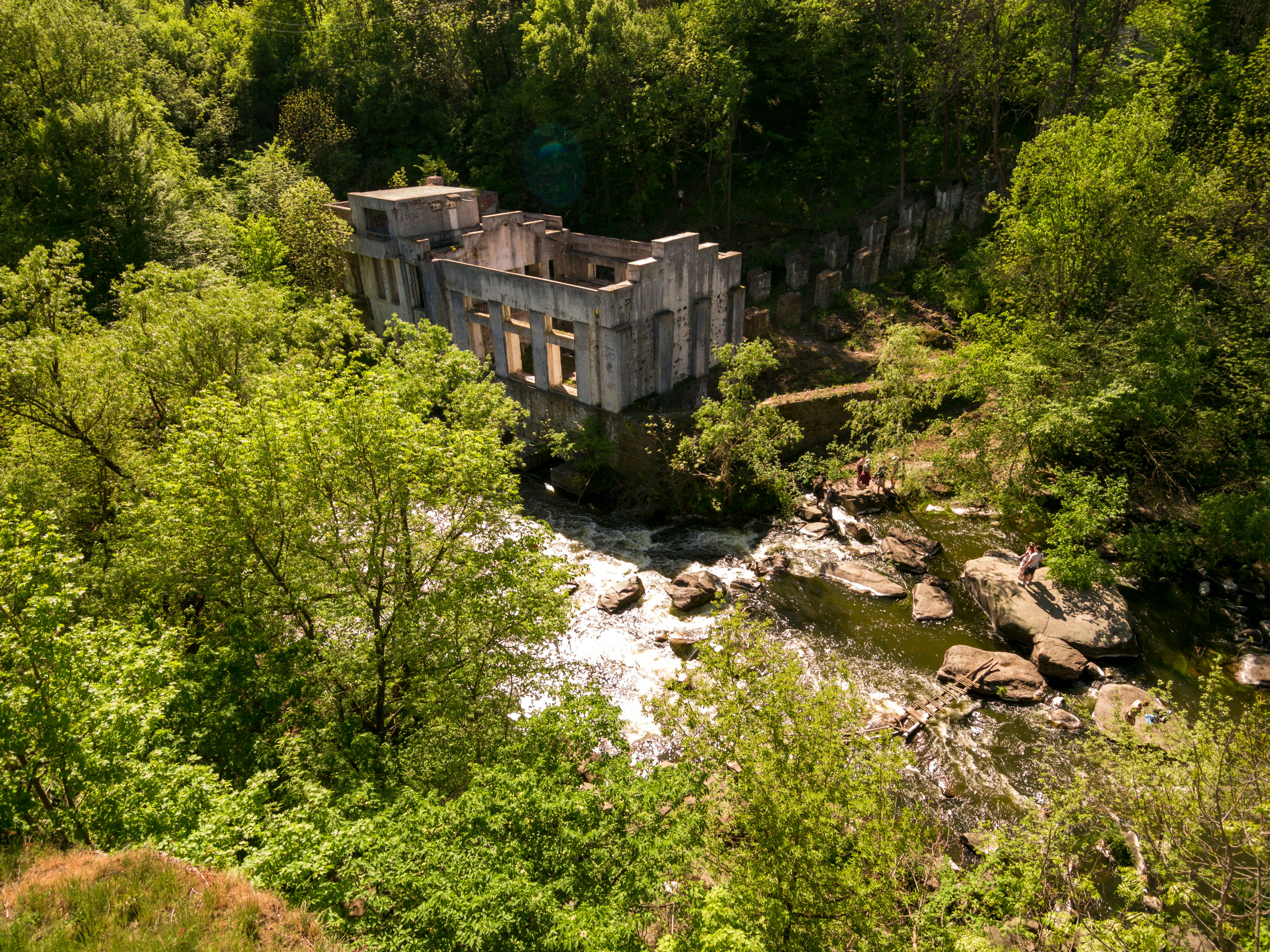 green trees near river during daytime